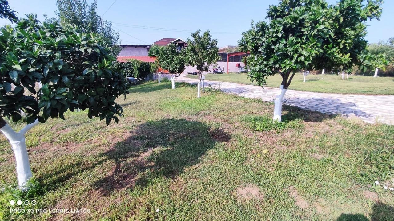 Vila Vivian Philoxenia Nea Sampsounta Exteriér fotografie